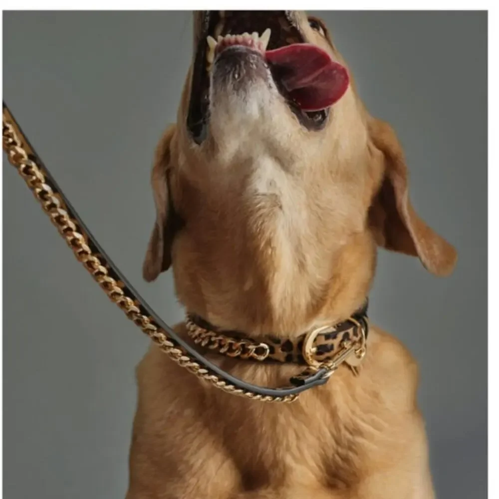ALDO GOLD CHAIN PET 3FT LONG LEASH